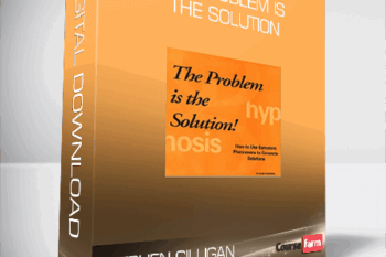Stephen Gilligan – The Problem is The Solution