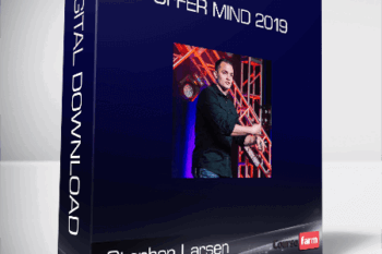 Stephen Larsen – Offer Mind 2019