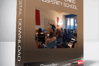 Steve Chandler – Online Coaching Prosperity School
