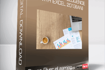 Stone River eLearning – Business Intelligence with Excel 2013(Ian)