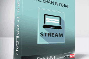 Susan Fralick-Ball – The Brain in Detail