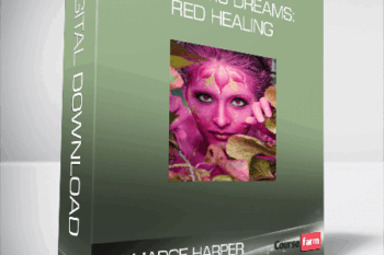 Talmadge Harper – Romantic Dreams: Red Healing