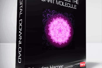 Talmadge Harper – Unreal Series: The Spirit Molecule