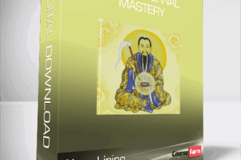 Wang Liping – Daoist Internal Mastery