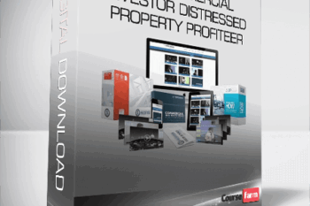 The Commercial Investor – Distressed Property Profiteer
