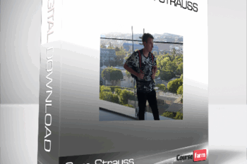 Sam Strauss – Stocks with Strauss