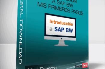 Nivel Experto – Introducción a SAP BW Mis primeros pasos