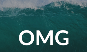 Amir Zoghi - The OMG Program