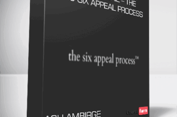Ash Ambirge – Shop of Moxie – The 2015 Six Appeal Process