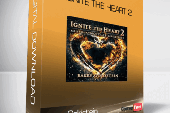 Barry Goldstein – Ignite the Heart 2