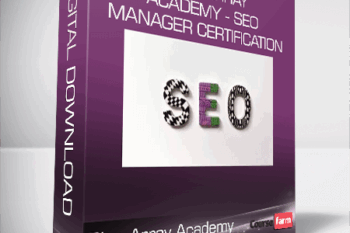 Blue Array Academy – SEO Manager Certification