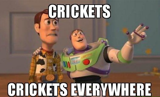 crickets-crickets-everywhere-e1449428358879