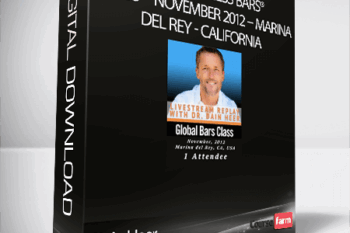 Dain Heer – Global Access Bars® Class – November 2012 – Marina del Rey, California