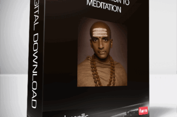Dandapanillc – Introduction to Meditation