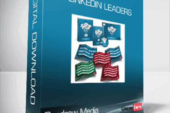 Dandrew Media – LinkedIn Leaders