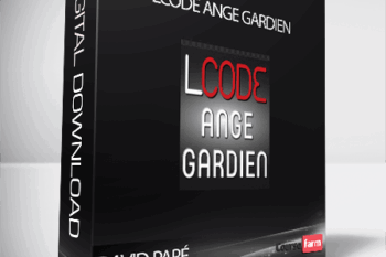 Lcode Ange Gardien – David Paré