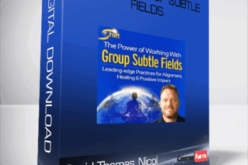 David Thomas Nicol – Building Group Subtle Fields
