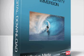DIY Genius Media – Flow Productivity Immersion