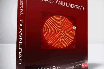 Don Miguel Ruiz – The Maze and Labyrinth