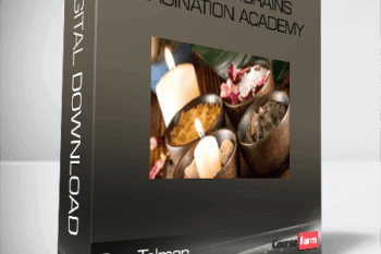 Don Tolman – Bootcamp4Brains / Imagination Academy