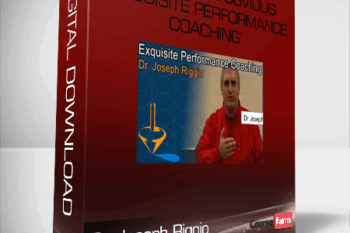 Dr Joseph Riggio – Beyond The Obvious – ‘Exquisite Performance Coaching’