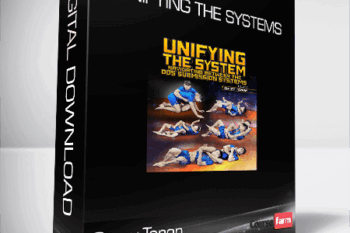 Garry Tonon – Unifying The Systems