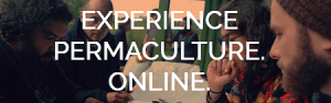 Geoff Lawton – Online Permaculture Design 2.0. This course will equip you with the knowledge to become a Permaculture Designer, able to implement a specific design science to create abundance in everything from a backyard to a small farm to a broad-acre landscape