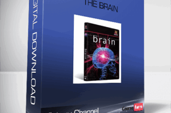 History Channel – The Brain