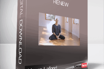 Honza Lafond – Renew
