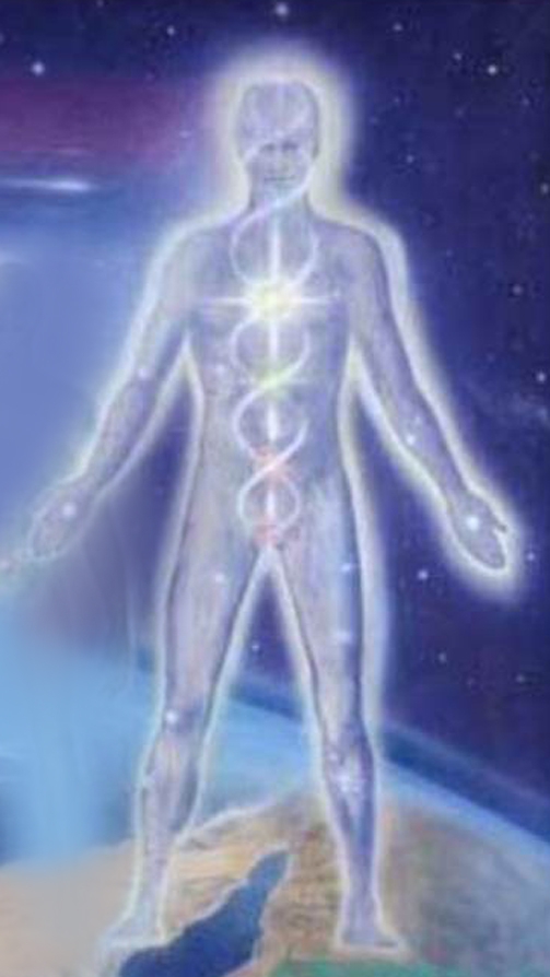 human-4 Macaya Mirade - Enhance Your Senses, Spine and Brain