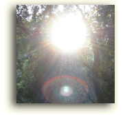 Jacqueline Joy - Wealth of Being - Diamond Energy