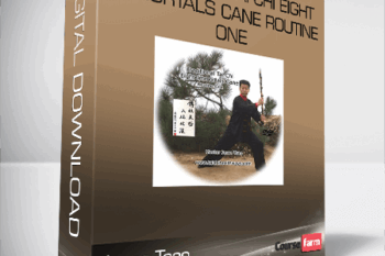 Jesse Tsao – Traditional Tai Chi Eight Immortals Cane Routine One