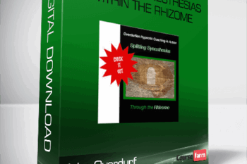 John Overdurf – Splitting Synesthesias within the Rhizome