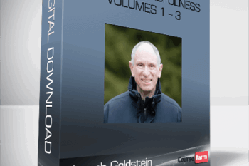 Joseph Goldstein – Abiding in Mindfulness Volumes 1 – 3
