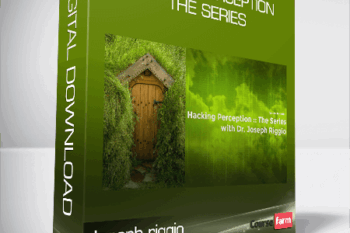 Joseph riggio – Hacking Perception – The Series