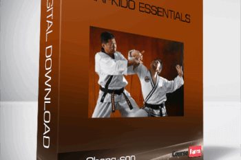 Lee Chang-soo – Hapkido Essentials