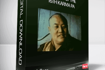 Lion’s Roar – Portrait of the 16th Karma pa