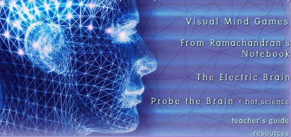 PBS Nova - Secrets Of The Mind