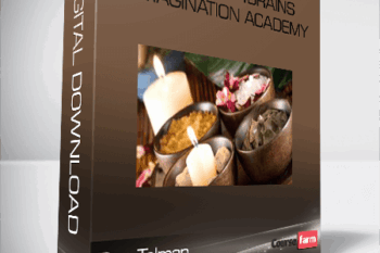 Don Tolman – Bootcamp4Brains / Imagination Academy (Copy)