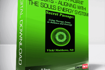 Sara Allen – Unbridle the Radiant Circuits – Aligning with the Soul’s Energy System