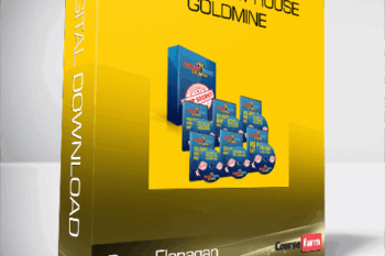 Sean Flanagan – Pre- Vacant House Goldmine