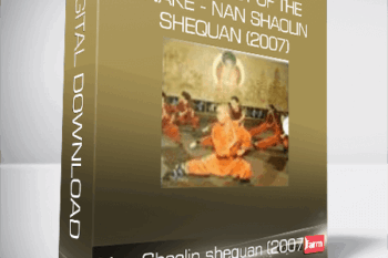 Shaolin Fist of the Snake – Nan Shaolin shequan (2007)