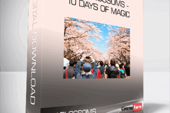 Sky Blossoms – 10 Days of Magic
