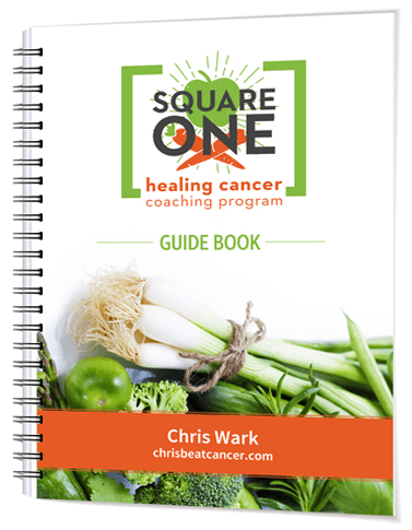 square1_3d_guidebook