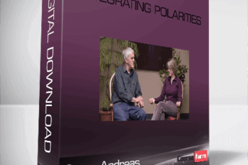 Steve Andreas – Integrating Polarities