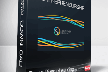 Stone River eLearning – Entrepreneurship
