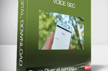 Stone River eLearning – Voice SEO