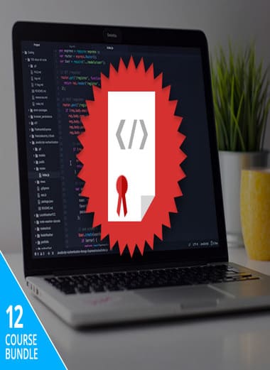 The Art of Exploitation Course - Mohamed Atef