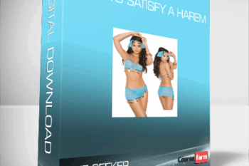 The Seeker – How to Satisfy a Harem