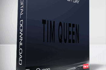 Tim Queen – One Post Per Day